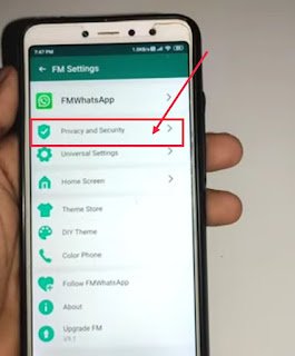 Go to FM WhatsApp Privacy And Security