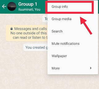 Open WhatsApp Group Info