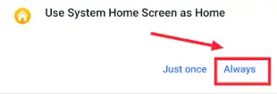 Allow to use system home creen as home screen