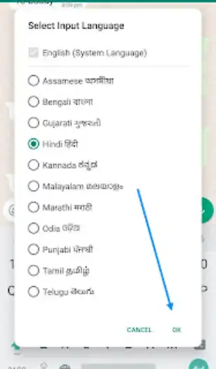 Select Hindi Language